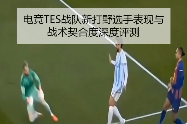 电竞TES战队新打野选手表现与战术契合度深度评测
